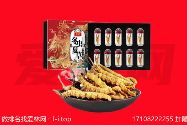 沙湾区回收虫草.jpg